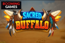 Game 5 Spinit Casino